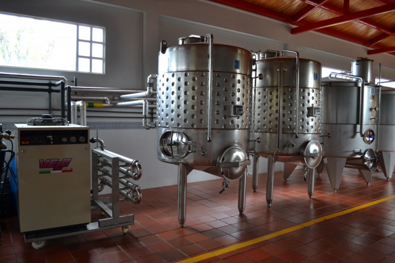 cave-BOUYON-min_wine_production_cantine_winery_drink_alcohol_vine_beverage-902036